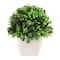3.75" Premade Green Boxwood Topiaries in Plastic Pots, 4ct. by Ashland®